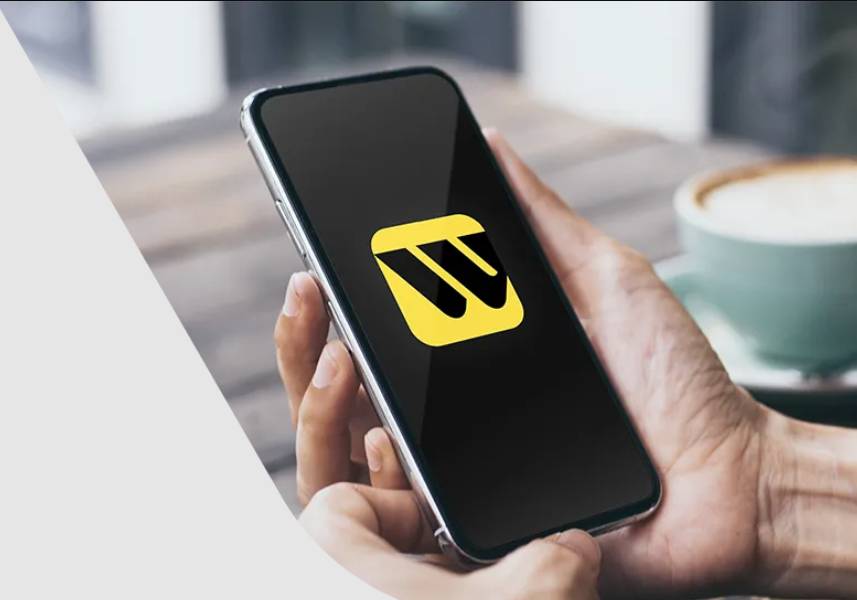 «Софтэкс» получил разрешение на покупку российской «дочки» Western Union
