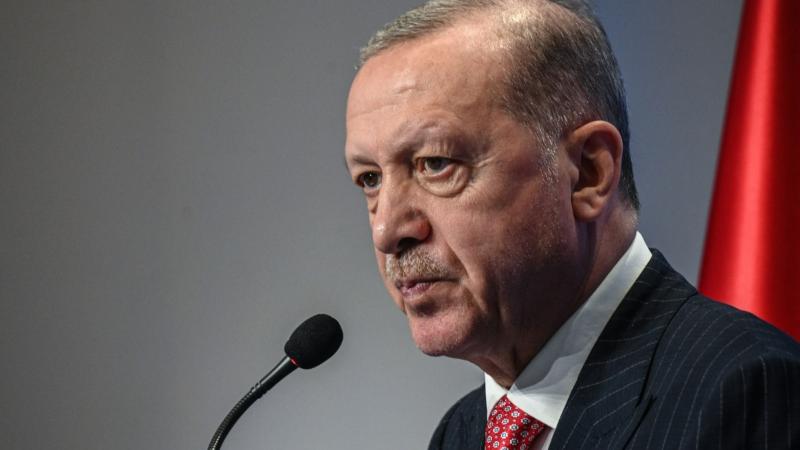 Эрдоган проведет совещание, где будет обсуждаться платежная система "Мир"