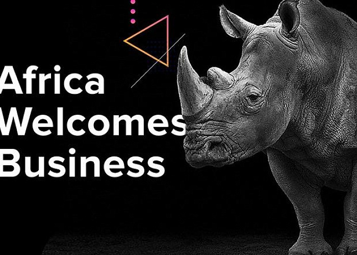 Откройте для себя новые возможности для бизнеса в Африке!