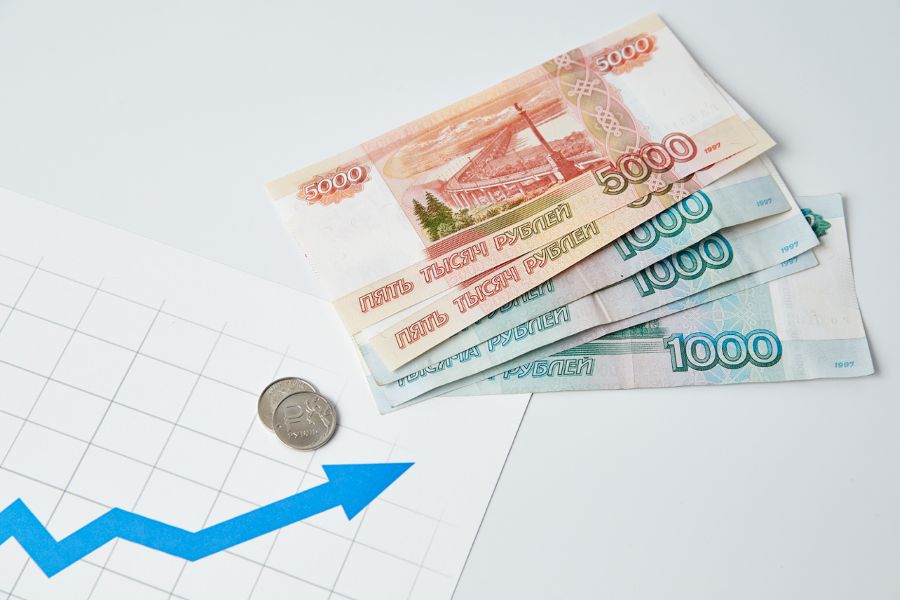 Объём наличных в обращении в мае вырос на 381,2 млрд рублей