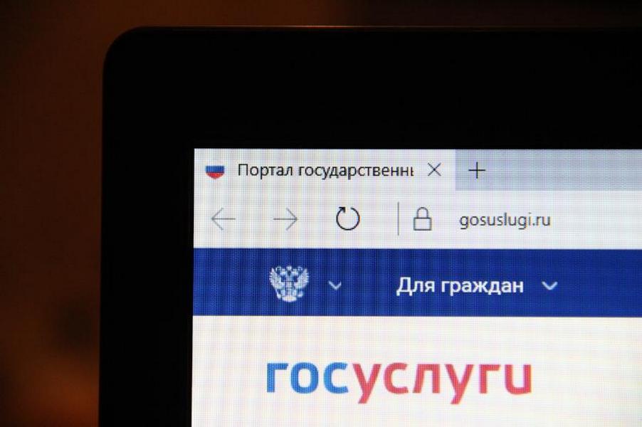 В РФ запустили идентификацию для управляющих доменами юрлиц через «Госуслуги»