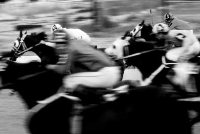 INPAS портрет винтерьере высоких технологий - рис.2 INPAS портрет винтерьере высоких технологий - рис.2