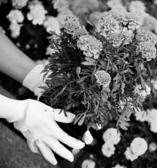 Важнейшие события карточного рынка - рис.2