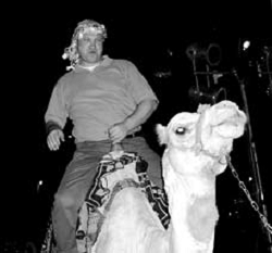 Переход на кредитные карты обсудили в Египте банки-члены Visa России и СНГ - рис.2 Переход на кредитные карты обсудили в Египте банки-члены Visa России и СНГ - рис.2