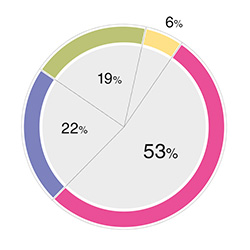 ПЛАС-опрос: НСПК в России будет  введена в действие  не раньше чем через  несколько лет! - рис.1