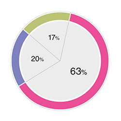 ПЛАС-опрос: НСПК в России будет  введена в действие  не раньше чем через  несколько лет! - рис.2