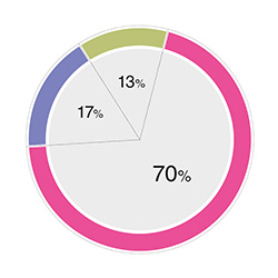 ПЛАС-опрос: НСПК в России будет  введена в действие  не раньше чем через  несколько лет! - рис.3