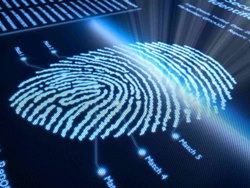 ПЛАС-опрос: платежный сервис  Apple Pay сможет стать  конкурентом Google Wallet,  PayPal и NFC-кошелькам - рис.1 ПЛАС-опрос: платежный сервис  Apple Pay сможет стать  конкурентом Google Wallet,  PayPal и NFC-кошелькам - рис.1