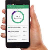 Тестируем карту «МегаФона»: продукт новаторский, продукт нишевый - рис.2 Тестируем карту «МегаФона»: продукт новаторский, продукт нишевый - рис.2