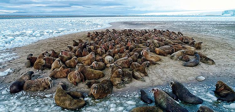 Эта удивительная жизнь «после платежных технологий» - рис.7