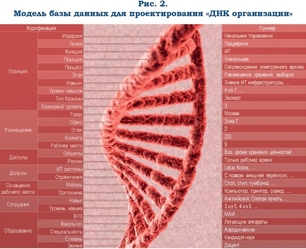 Проект организационного редизайна банка - рис.2