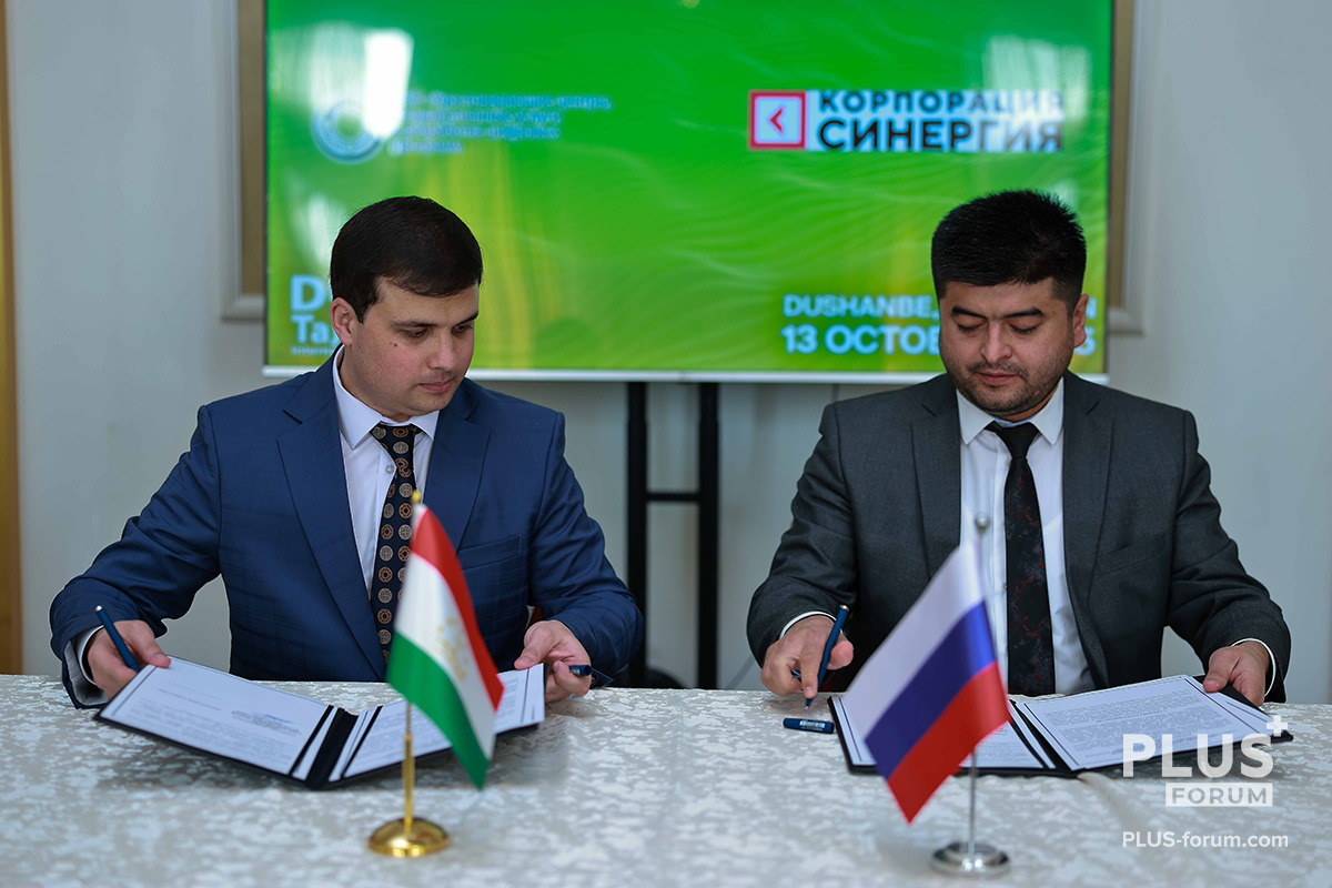 Корпорация «Синергия»