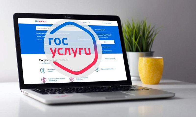 Законопроект о моментальных уведомлениях о кредите через Госуслуги принят в первом чтении