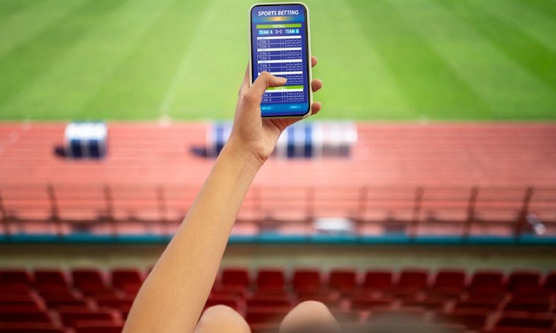 Запрет на ставки для должников и недееспособных могут отложить из-за рисков для бизнеса