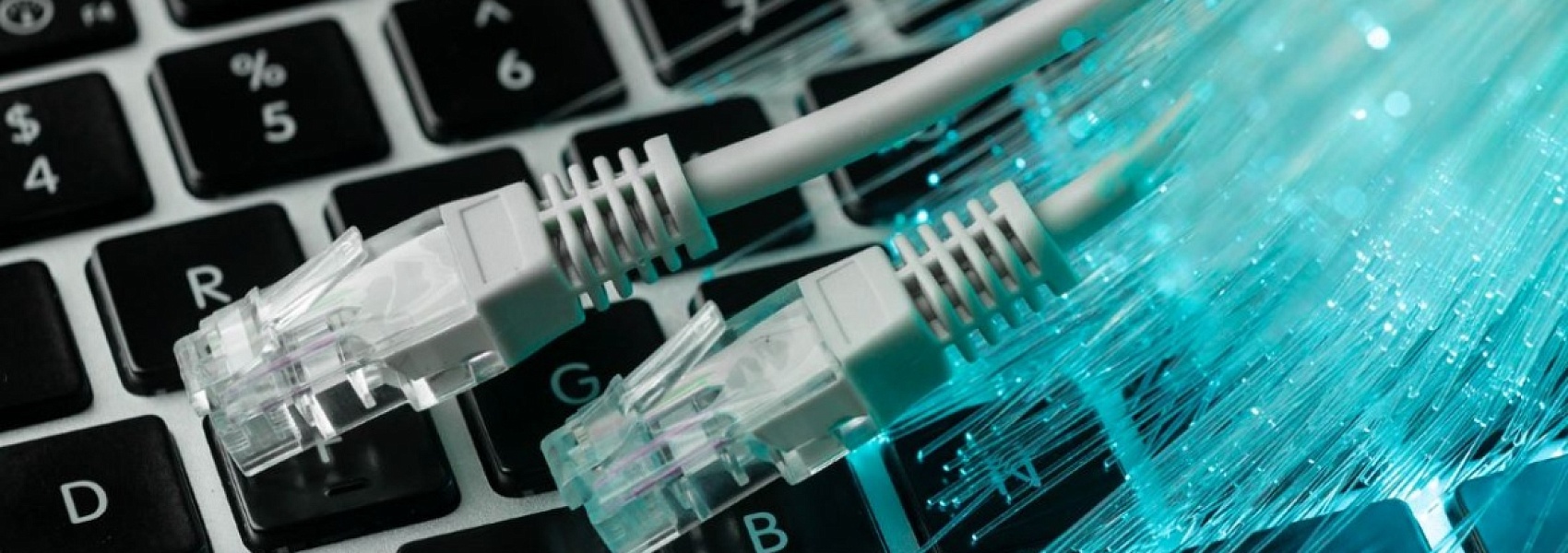В «Госуслугах» появится сервис измерения скорости интернета
